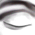 olho.gif (6998 bytes)